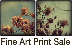 fine art print sale